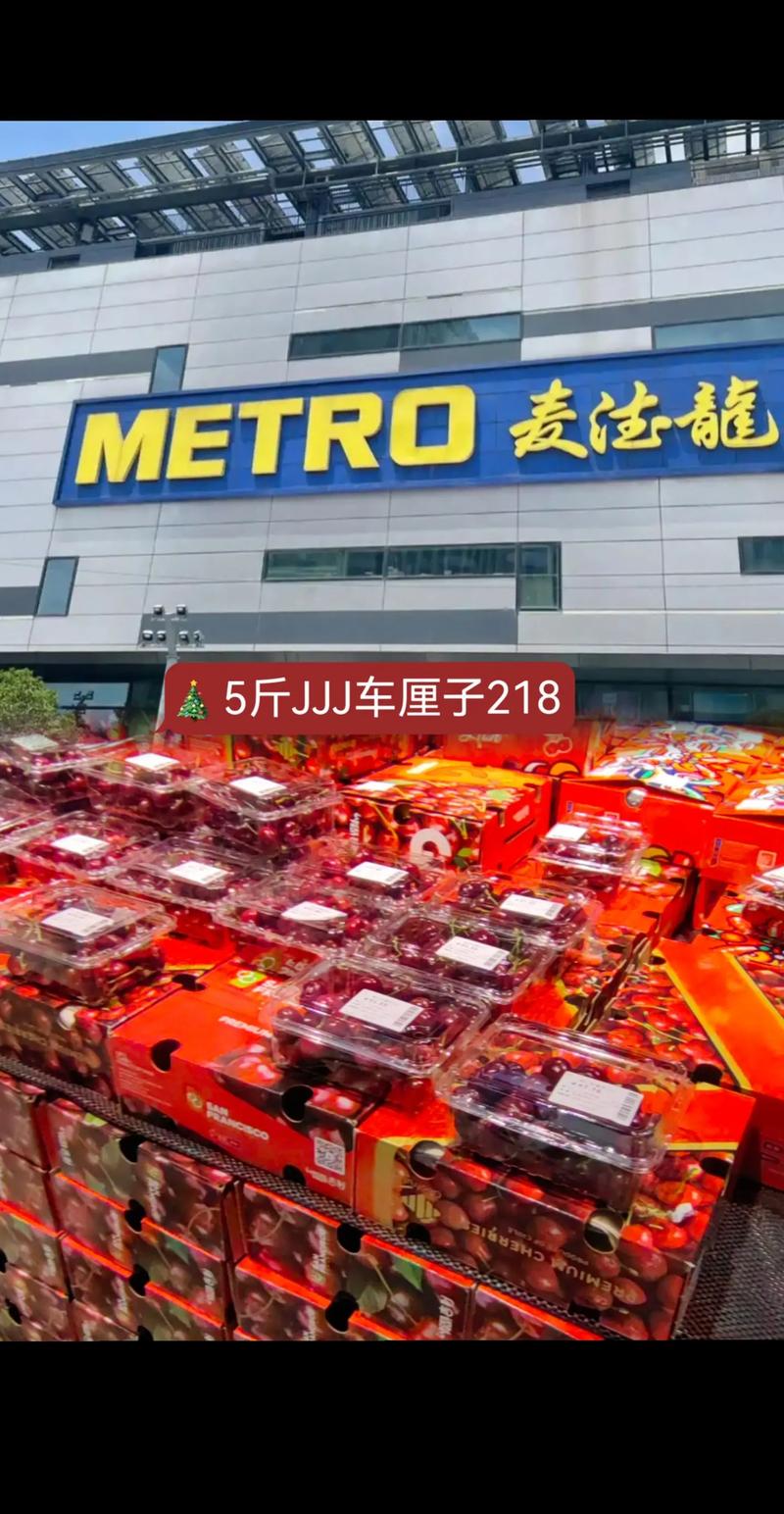 贸易代理行业动态：连接全球市场的桥梁